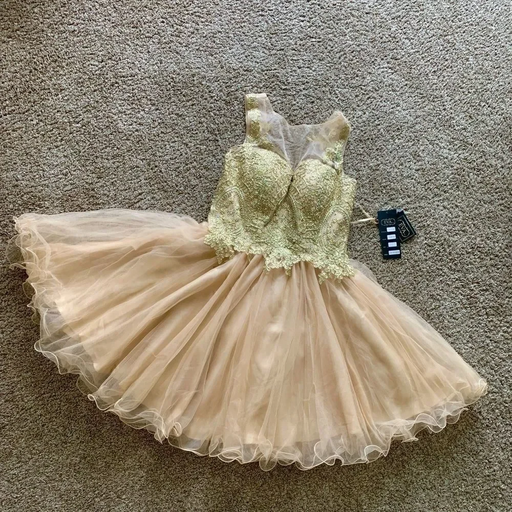 Mesh embroidered beaded Lace Short Ruffled  Dress